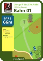 DiscGolf_Salzachsee_01.jpg